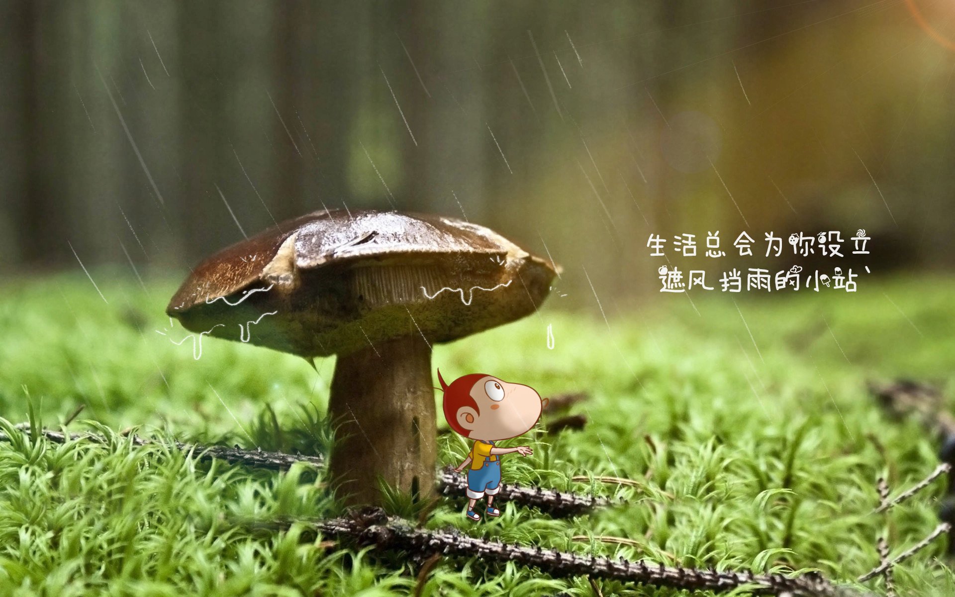 _东京马拉松：运动员突破极限创造佳绩_，东京马拉松事件