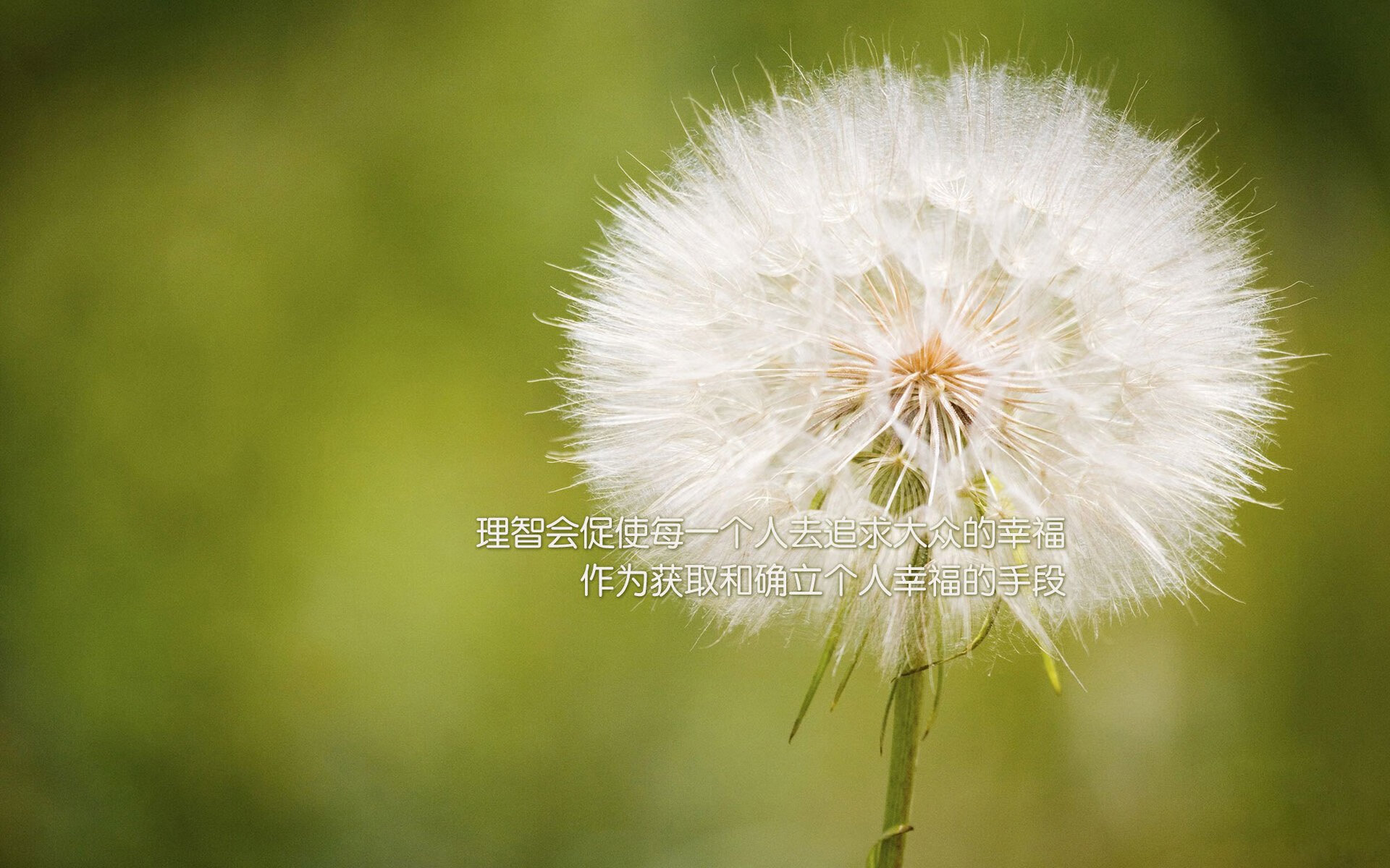 _快船团队默契配合，赢得宝贵胜利_，快船队是什么