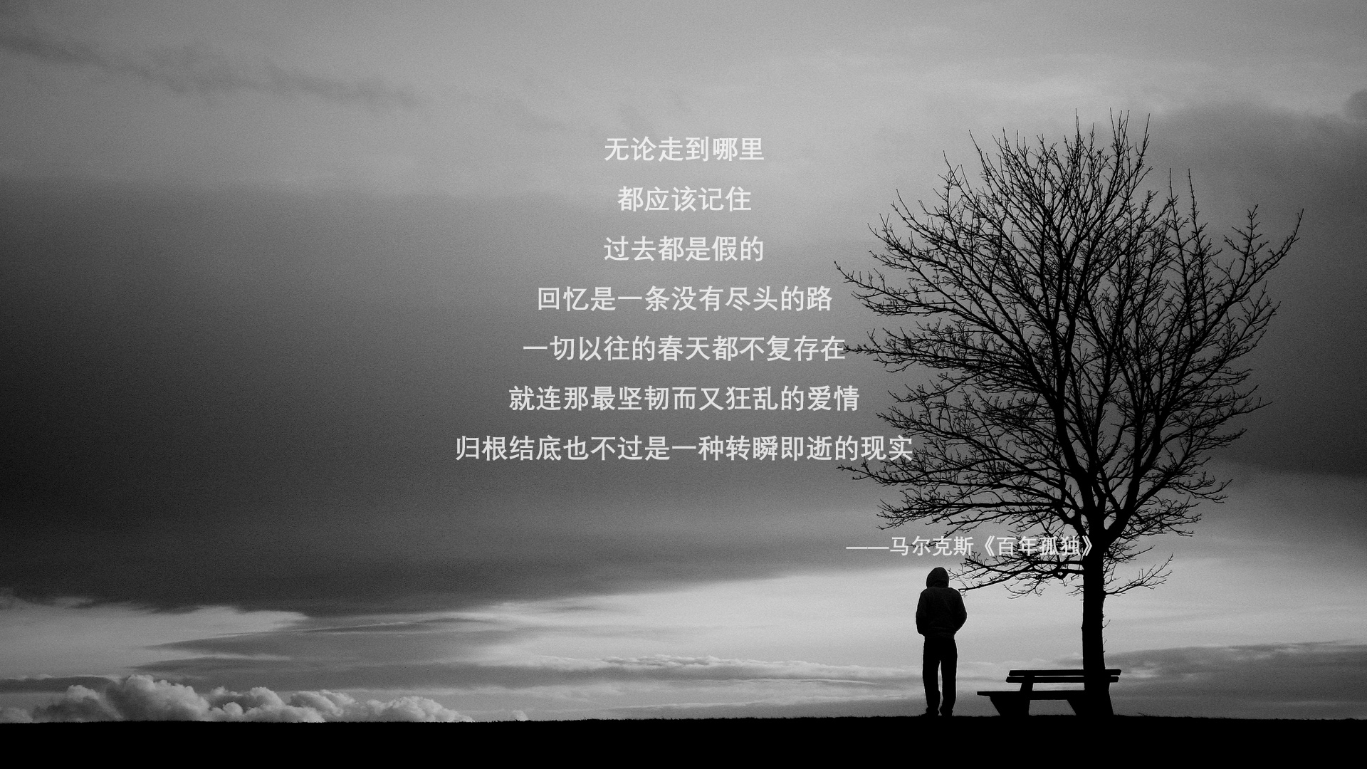 _猛龙队打出精彩团队篮球_，猛龙队的阵容