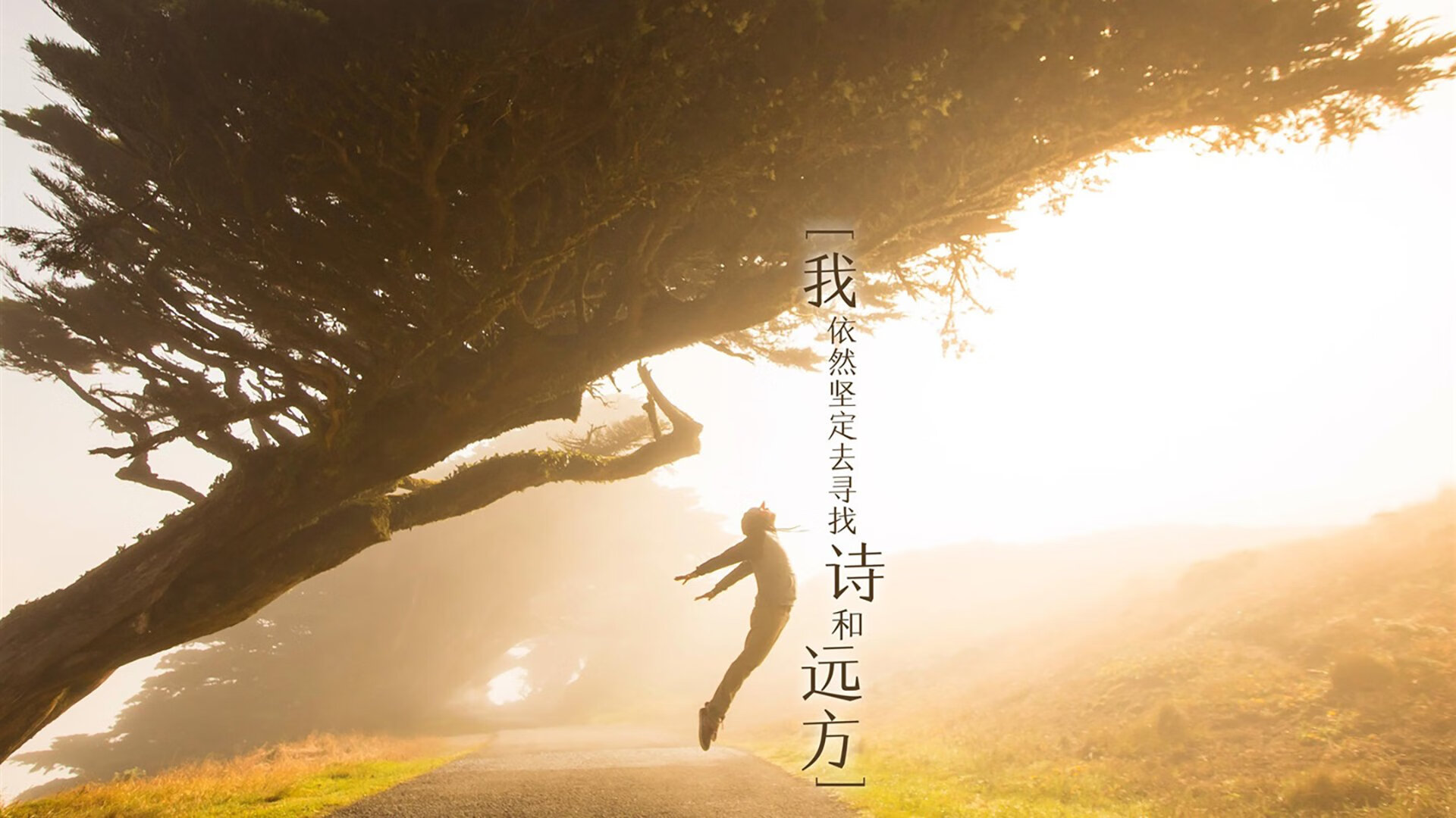 《王者荣耀国际赛，顶尖战队争夺荣耀宝座》，王者荣耀 国际赛