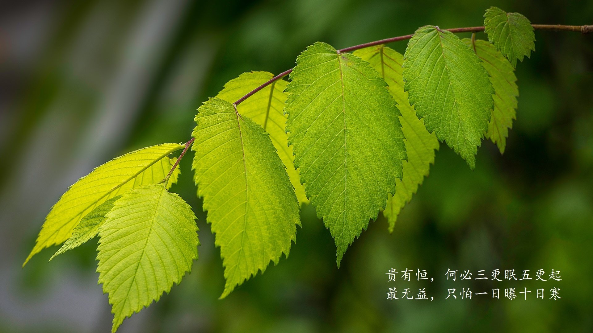 史诗般的比赛：马拉松选手力争第一，21位马拉松选手