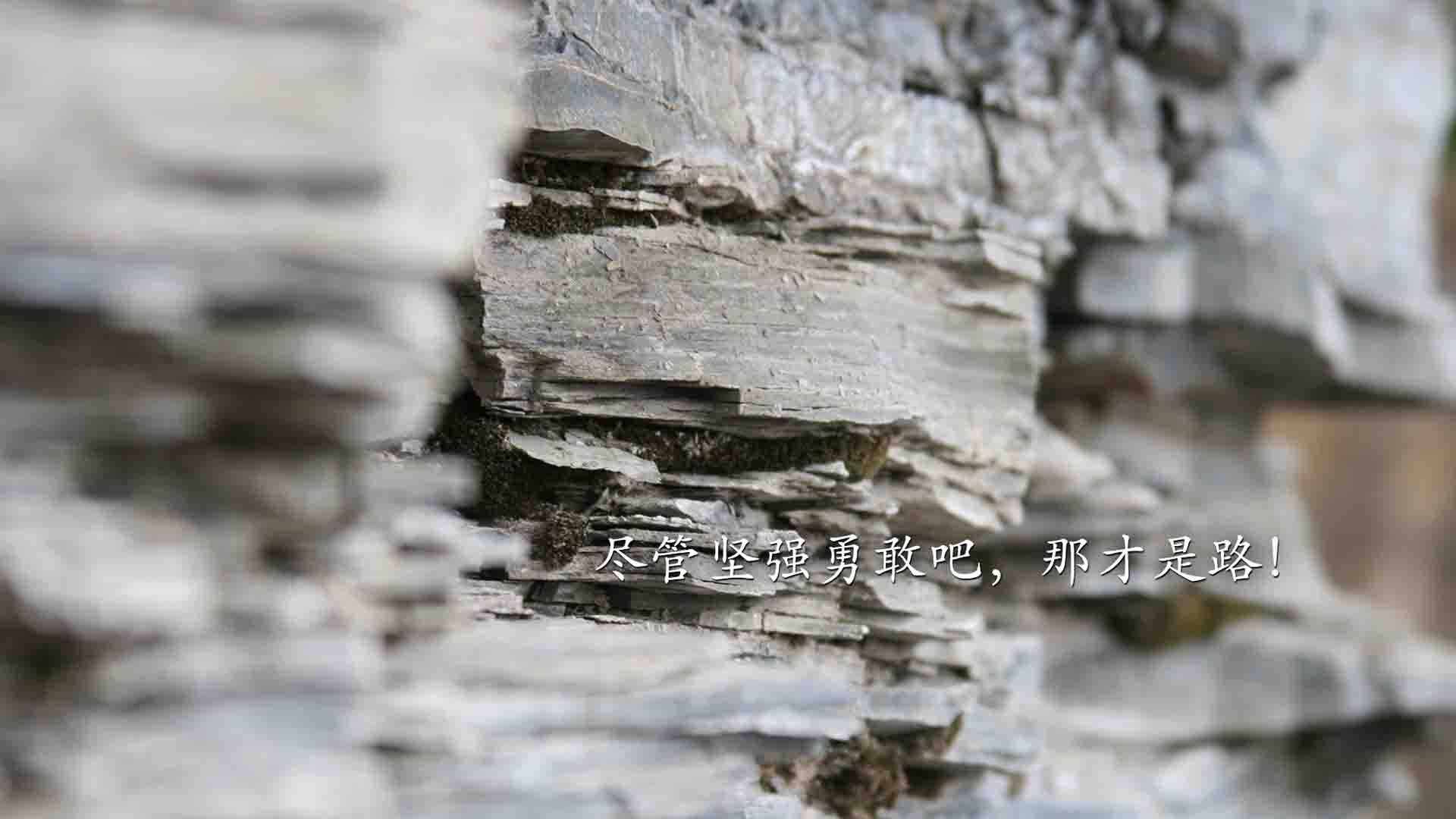 欧洲天王之战：皇马VS拜仁，战术争霸赛，皇马vs拜仁历史战绩