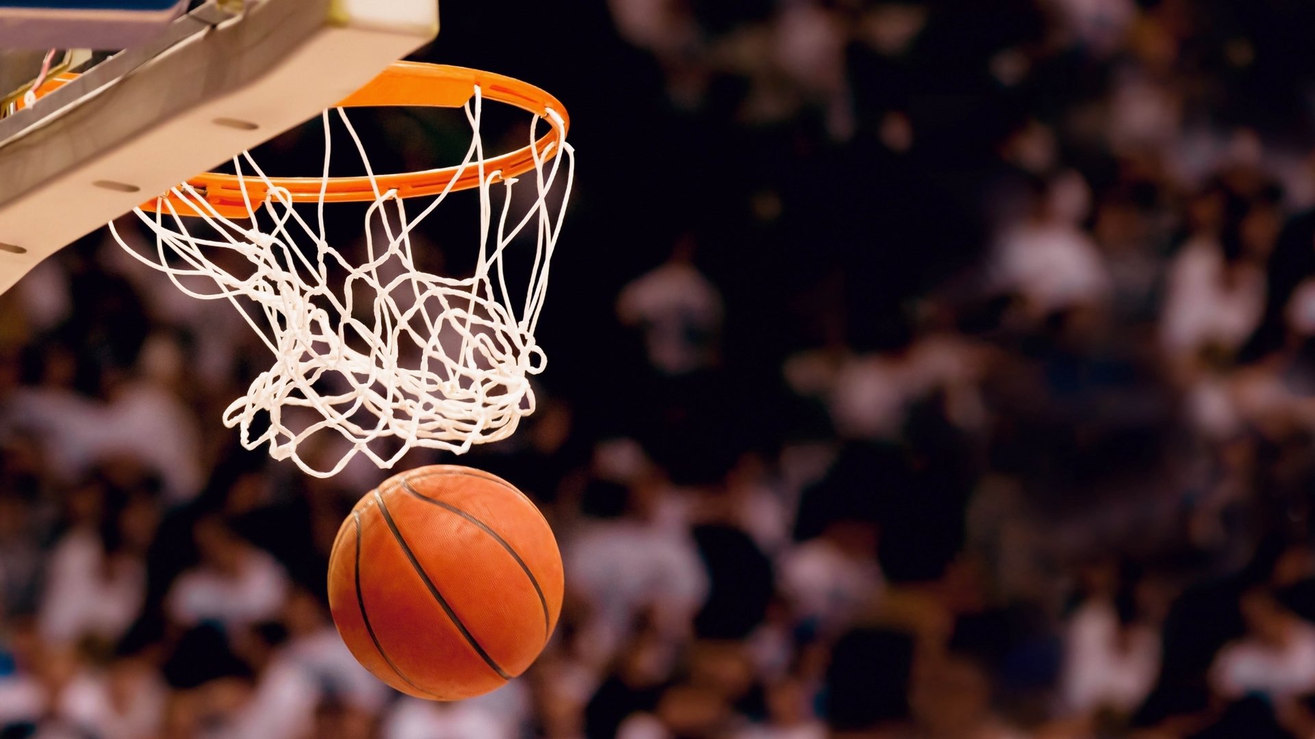 赛季伤病潮：关键球员缺阵对战局的影响，nba本赛季伤病