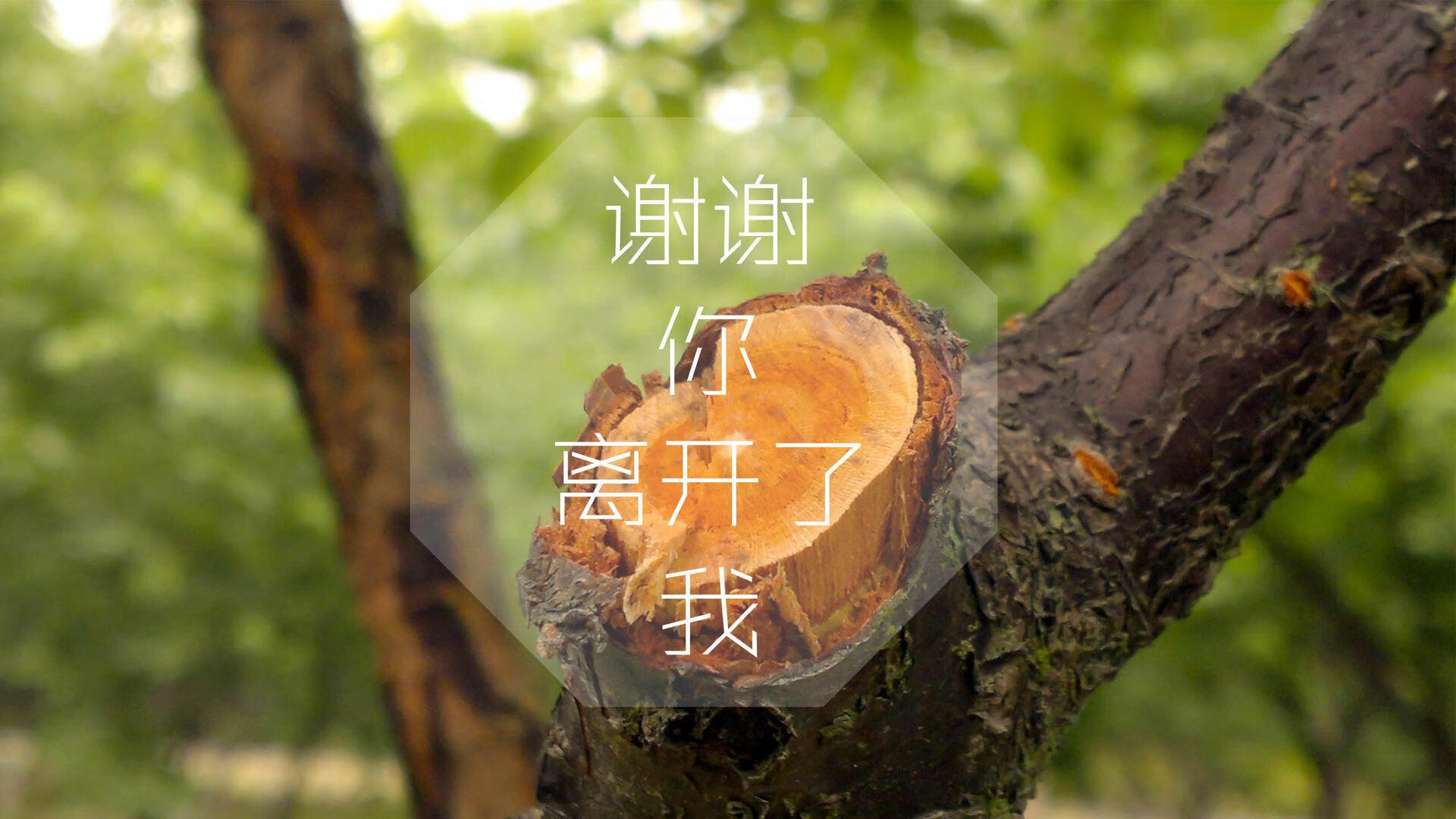 Kaiyun官方登录入口-世界杯预选赛中国队晋级 球迷士气大振，世界杯预选赛中国队晋级了吗