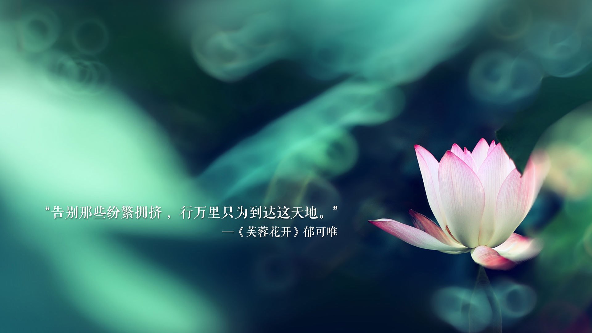 中国三人篮球女队场上执行力持续增强，中国三人篮球女队成绩