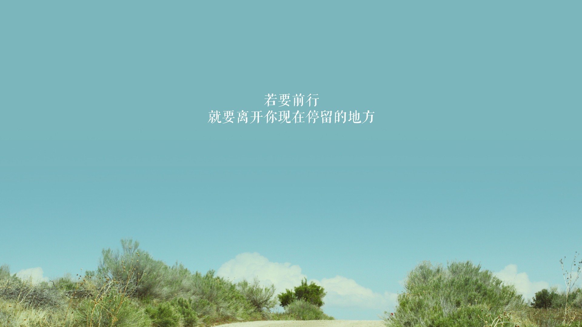 “马科斯·梅特罗的精湛技术与领导能力，帮助阿根廷美洲狮队成为新一代强队”