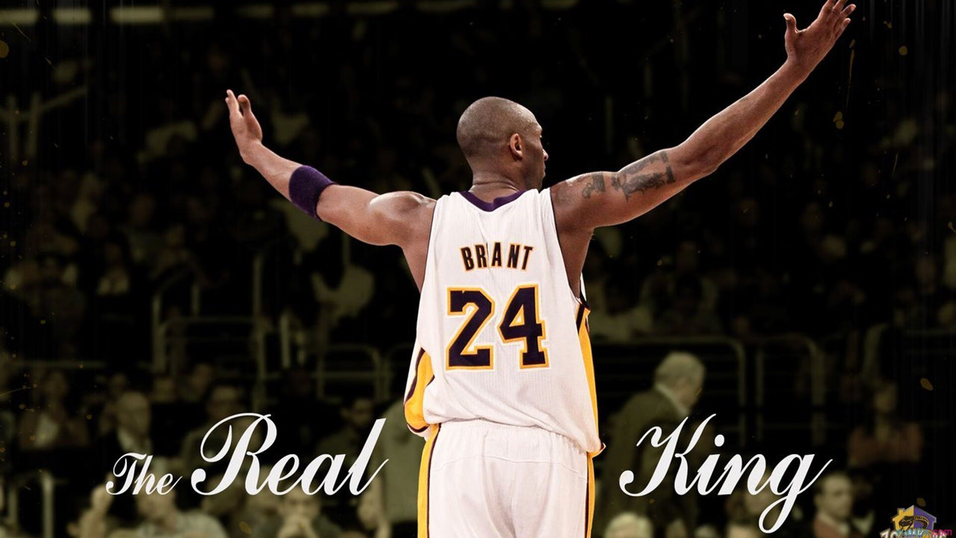 开yun官网-威廉姆斯在柔道比赛中展现出顽强拼搏精神，l.威廉姆斯